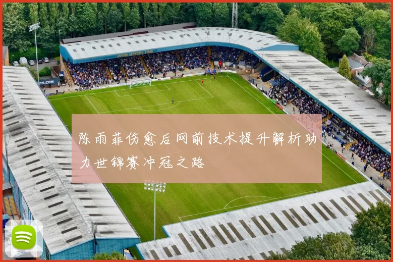 陈雨菲伤愈后网前技术提升解析助力世锦赛冲冠之路