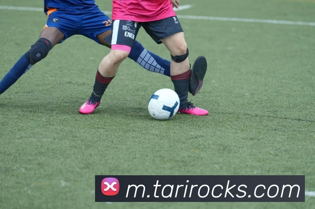 互动解说服务